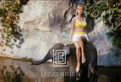 Mark Shaw Swimsuit Model at Disneyland with Baby Elephant 1964