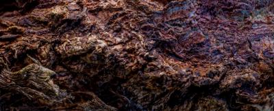 Marko Mili Dragons Lair