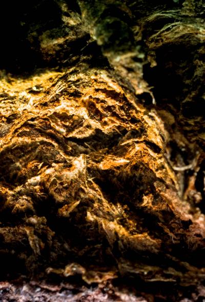 Marko Mili Mythical Beast