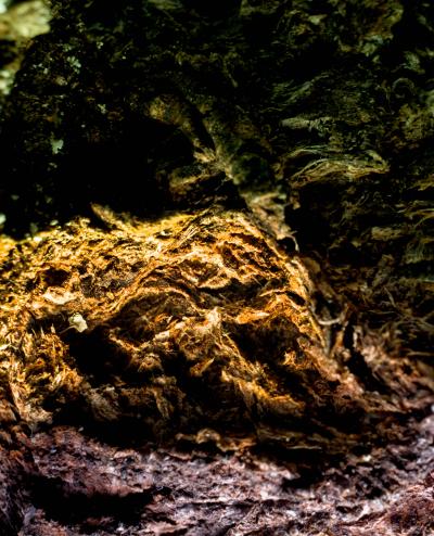 Marko Mili Mythical Beast