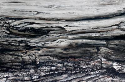 Marleen Vermeulen Driftwood