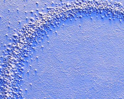 Martha Winter Breaking Circles