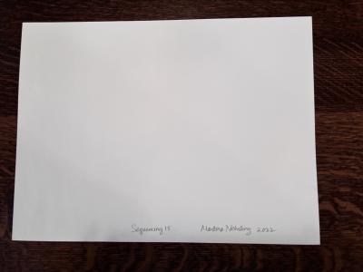 Martina Nehrling Sequencing 15