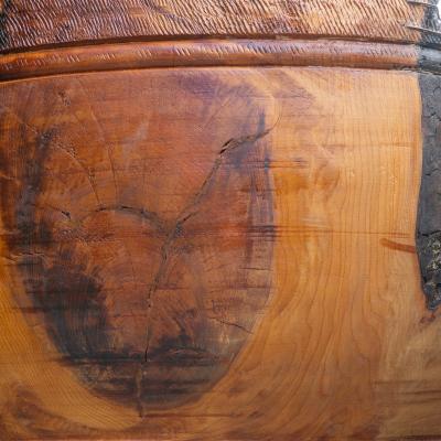 Massive Wood Turned Bowl Five Feet Diameter
