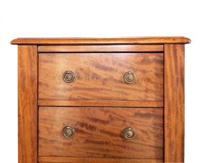 Matched Pair Of Regency Mahogany Wellington Chests
