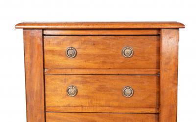 Matched Pair Of Regency Mahogany Wellington Chests