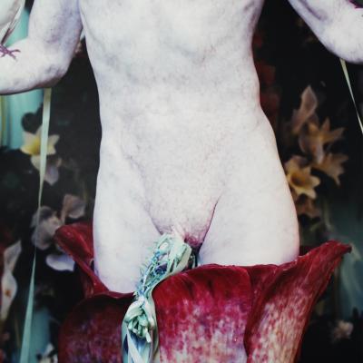 Matthew Barney Matthew Barney Cremaster 5 Her Giant 1997 C Print in Acrylic Frame