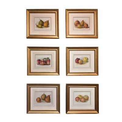 May Rivers Set of Six Fruit Chromolithographs by May Rivers English circa 1892