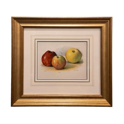 May Rivers Set of Six Fruit Chromolithographs by May Rivers English circa 1892