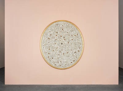 Melis Buyruk Falcons Habitat 2022