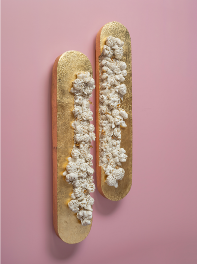 Melis Buyruk Golden Rock 2025