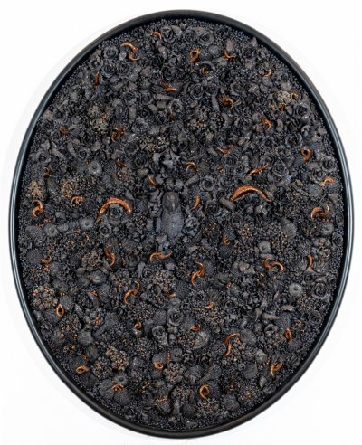 Melis Buyruk The Golden Blossom 2025