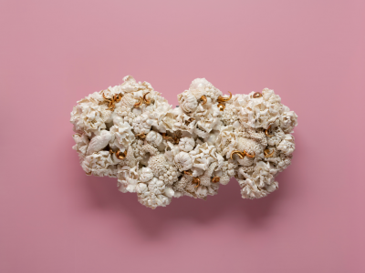 Melis Buyruk Where Beauty Decides to Appear 2025