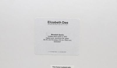 Meredyth Sparks Bob Dylan I