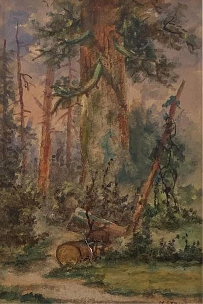 Meyer Straus Watercolor of a Forest Scene by Meyer Straus American 19th Century