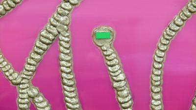 Michael Adamo Michael Adamo Painting