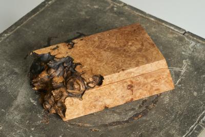 Michael Elkan Michael Elkan Box in Live Edge Maple Burl American Craft Movement 1980s