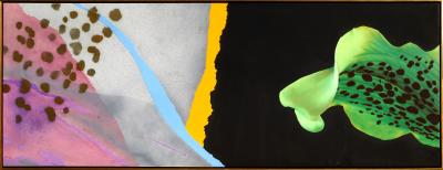 Michael Knigin Outside Choice