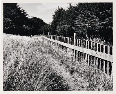 Michael Wayman Trail and Fence Sea Road dated 1991 2