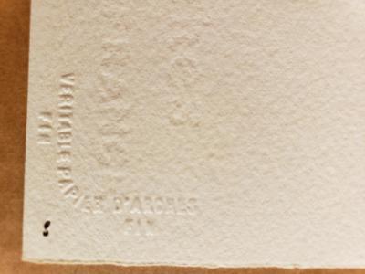 Michaele Vollbracht Fashion Illustration of Elegant woman in Bob Mackie dress perhaps for Cher