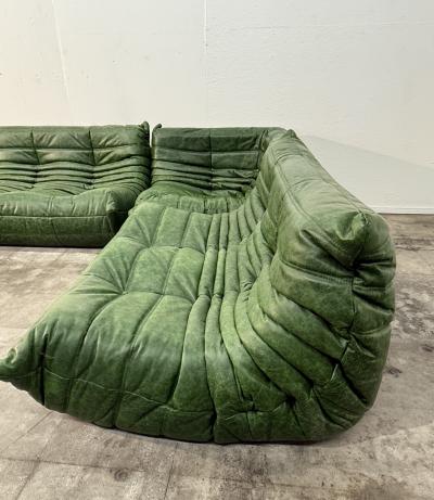 Michel Ducaroy 5 Piece Togo Sofa in Emerald Green Leather by Michel Ducaroy for Ligne Roset