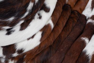 Michel Ducaroy Vintage Ligne Roset Togo Fireside Chair in Natural Cowhide Michel Ducaroy