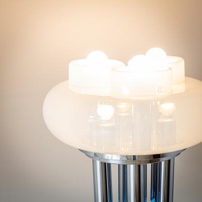 Mid 20th Century Tubular Floor Lamp attr to Carlo Nason Italy