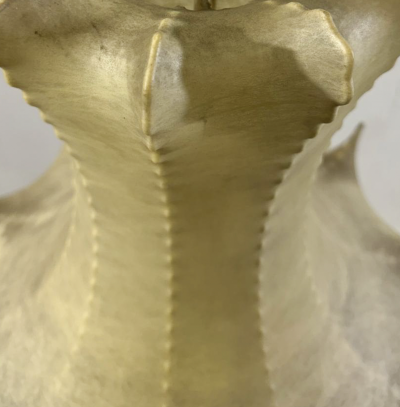 Mid Century Cocoon Suspension by Castiglioni 1963