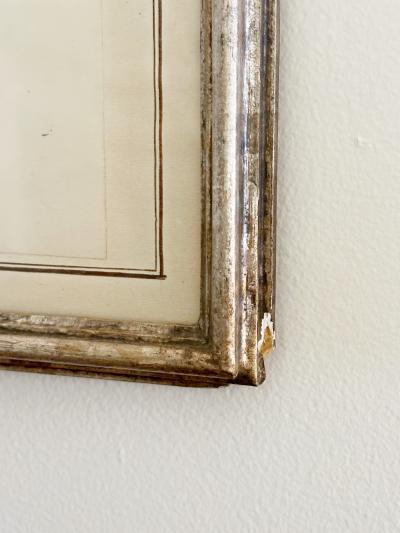 Mid Century Framed Marine Spicimen