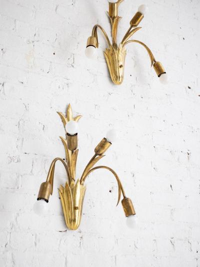 Mid Century French Brass Botanic Sconces a Pair