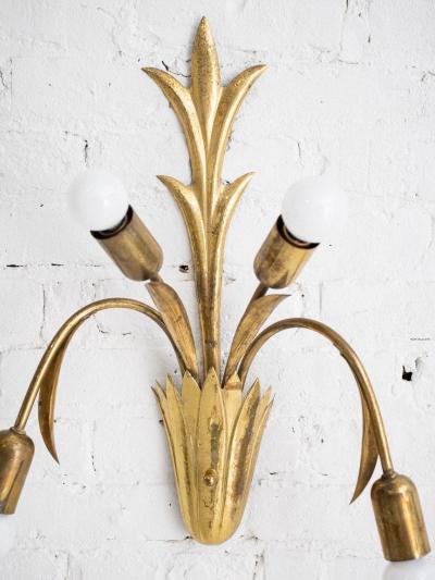Mid Century French Brass Botanic Sconces a Pair