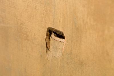 Mid Century Hand Painted Ballet Scene 4 Panel Standing Screen