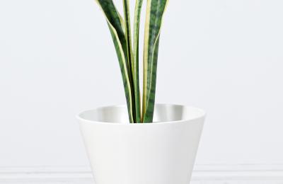 Mid Century Modern Architectural Double Cone Planter by Bauer