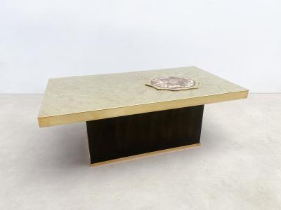 Mid Century Modern Fossil Wood Coffee Table