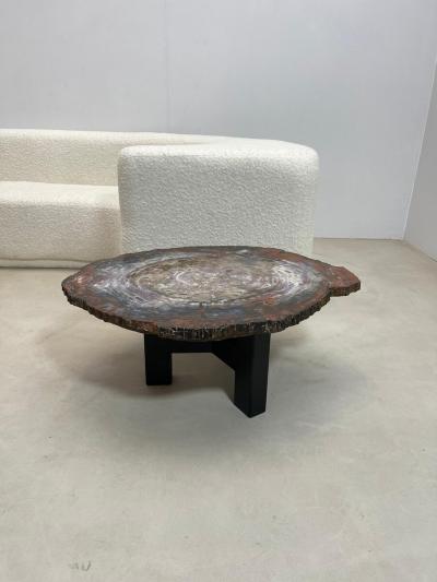 Mid Century Modern Petrified Wood Coffee Table