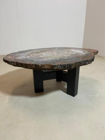 Mid Century Modern Petrified Wood Coffee Table