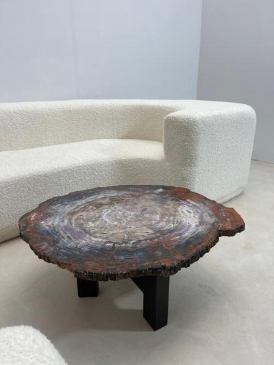 Mid Century Modern Petrified Wood Coffee Table