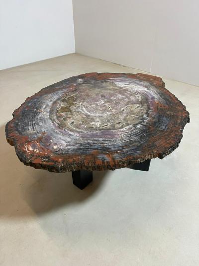 Mid Century Modern Petrified Wood Coffee Table