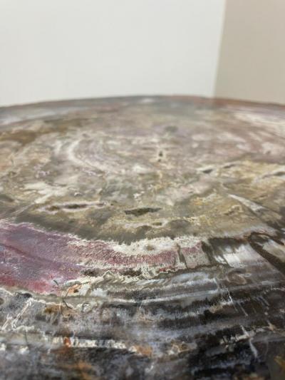 Mid Century Modern Petrified Wood Coffee Table