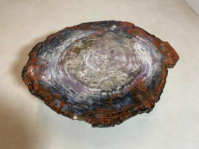 Mid Century Modern Petrified Wood Coffee Table