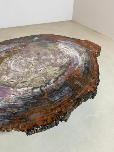 Mid Century Modern Petrified Wood Coffee Table