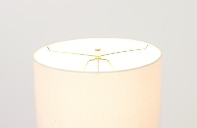 Mid Century Modern Sculpted Brass Horns Lucite Table Lamp