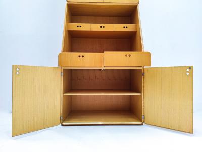 Mid Century Modern Wooden Cabinet by Derk Jan de Vries