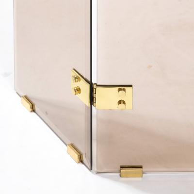 Mid Century Modernist Tri Fold Smoked Glass Fire Screen with Brass Hinges