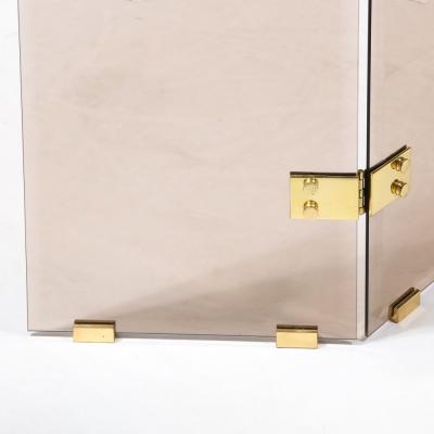 Mid Century Modernist Tri Fold Smoked Glass Fire Screen with Brass Hinges