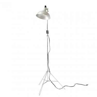 Mid Century Photographers Light c 1950