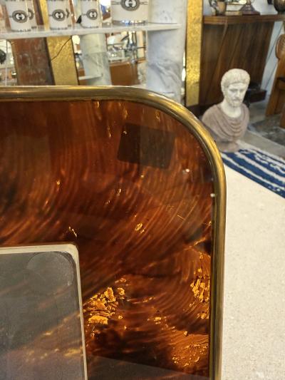 Mid Century Tortoiseshell Lucite and Brass Picture Frame 1970s