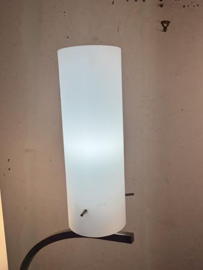 Mid Century satin glass Lamps