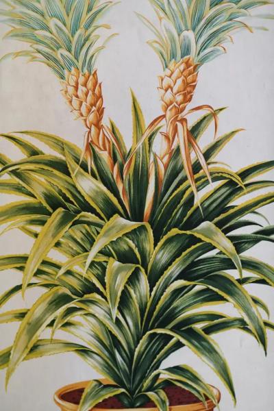 Mid Century tapestry with rush structure