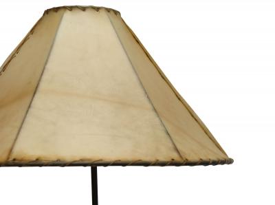 Mid century Danish Teak and Brass Floor Lamp